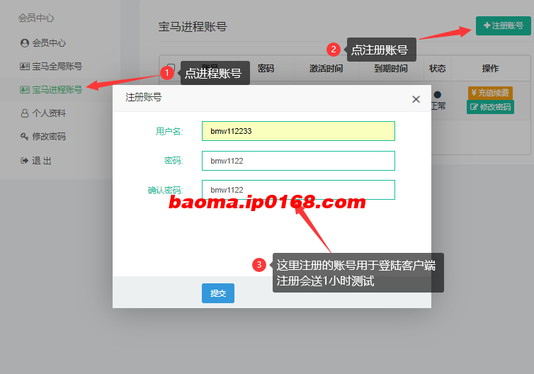 使用教程第三步图1-宝马ip进程版