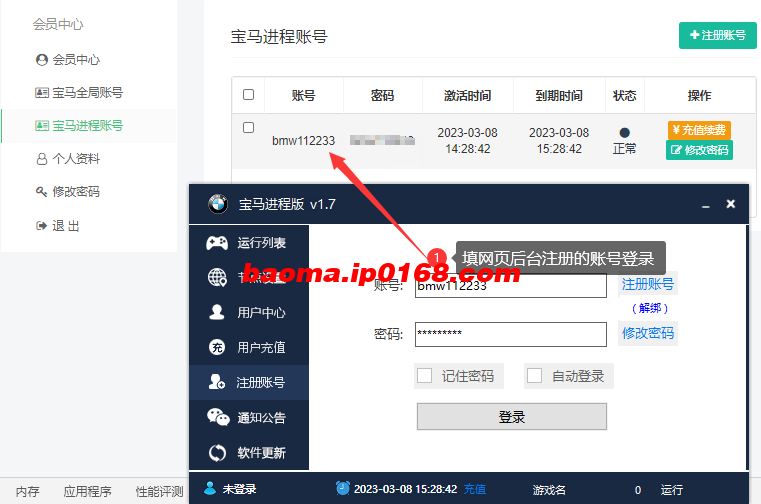 使用教程第四步-宝马ip进程版